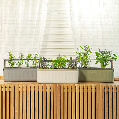 Product photo of self-watering herb planter with trellis