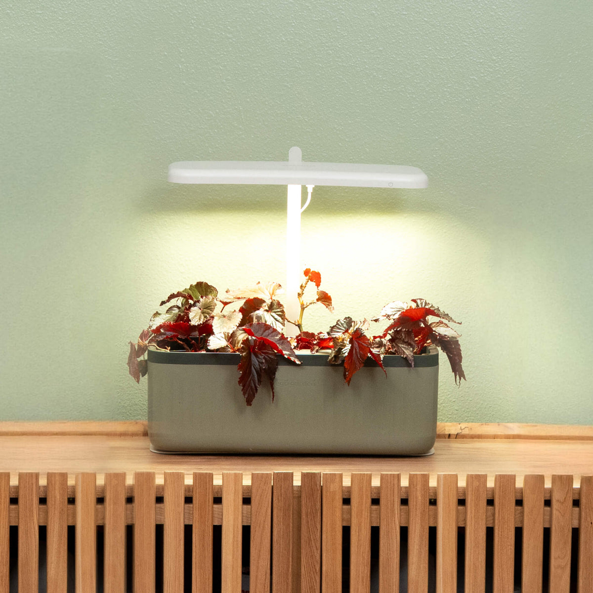 Product photo of self-watering herb planter with trellis
