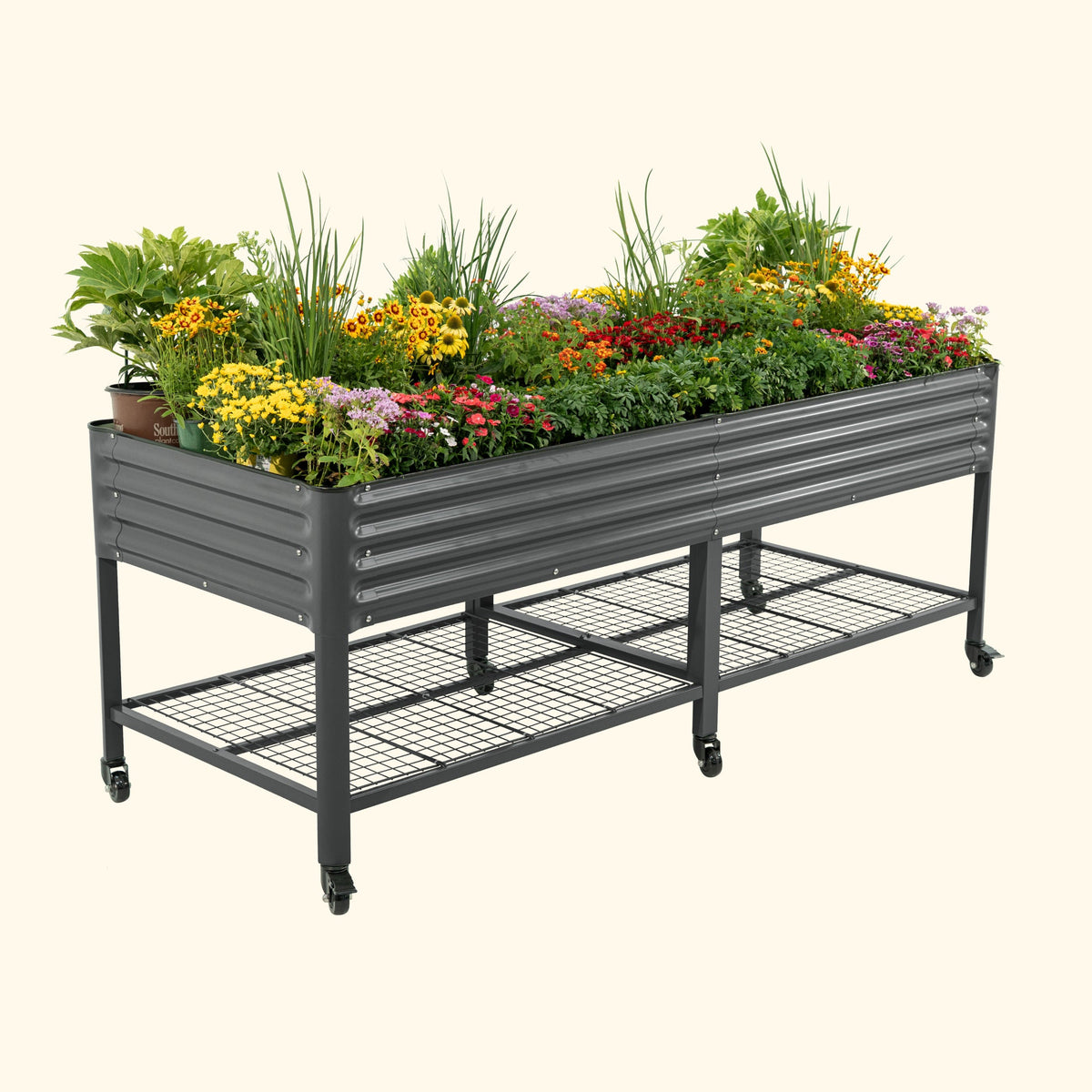 Product photo of wide rolling elevated bed, 36 x 96 inches