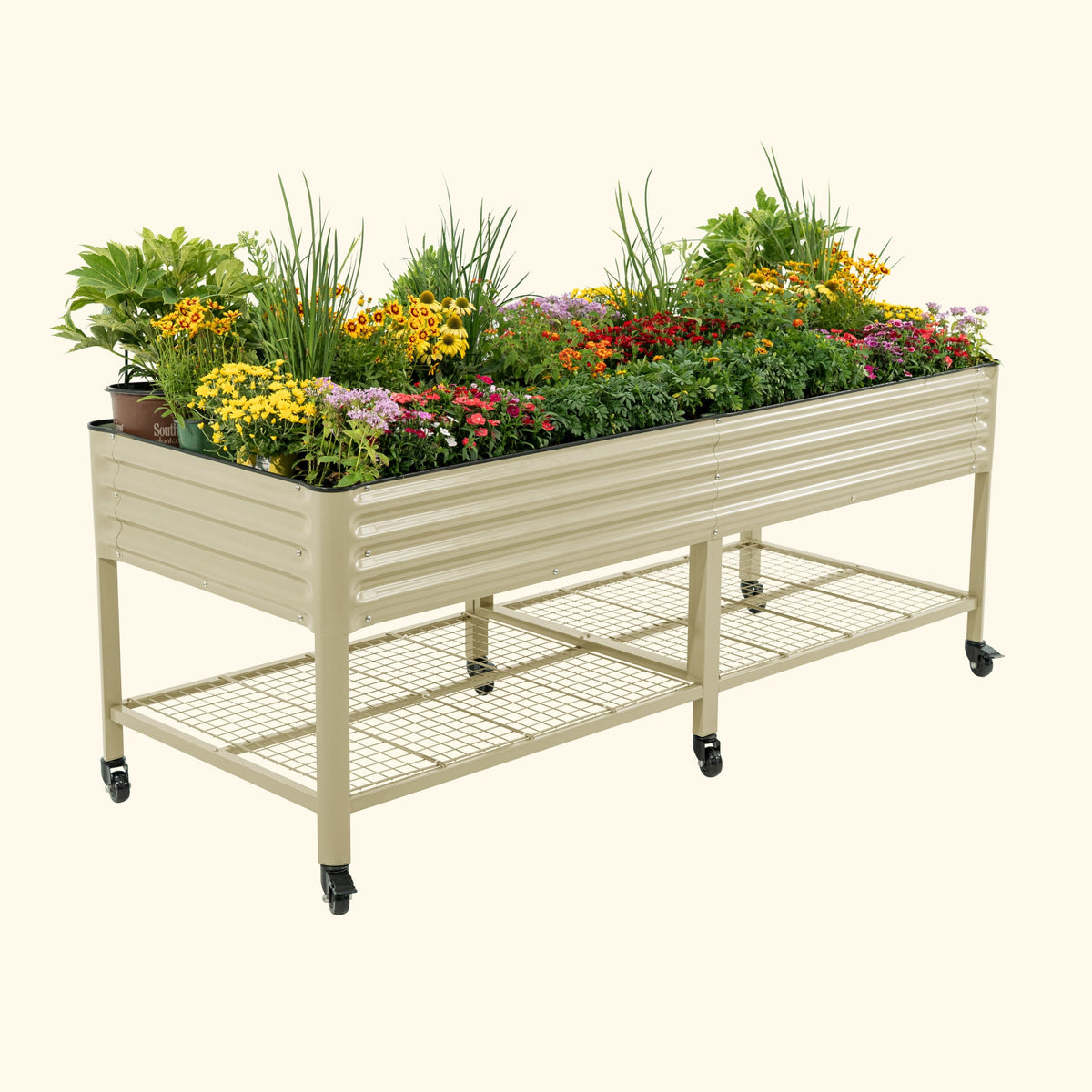 Product photo of wide rolling elevated bed, 36 x 96 inches