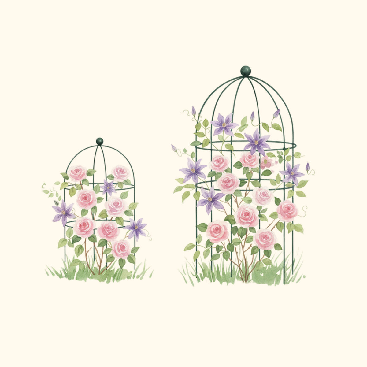 Birdcage Plant Trellis, 2 Pack