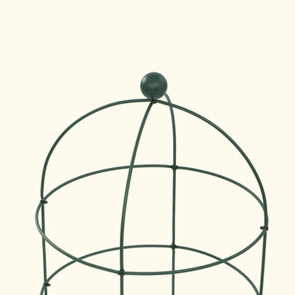 Birdcage Plant Trellis, 2 Pack