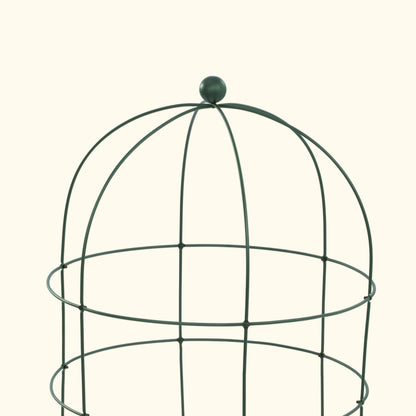 Birdcage Plant Trellis, 2 Pack