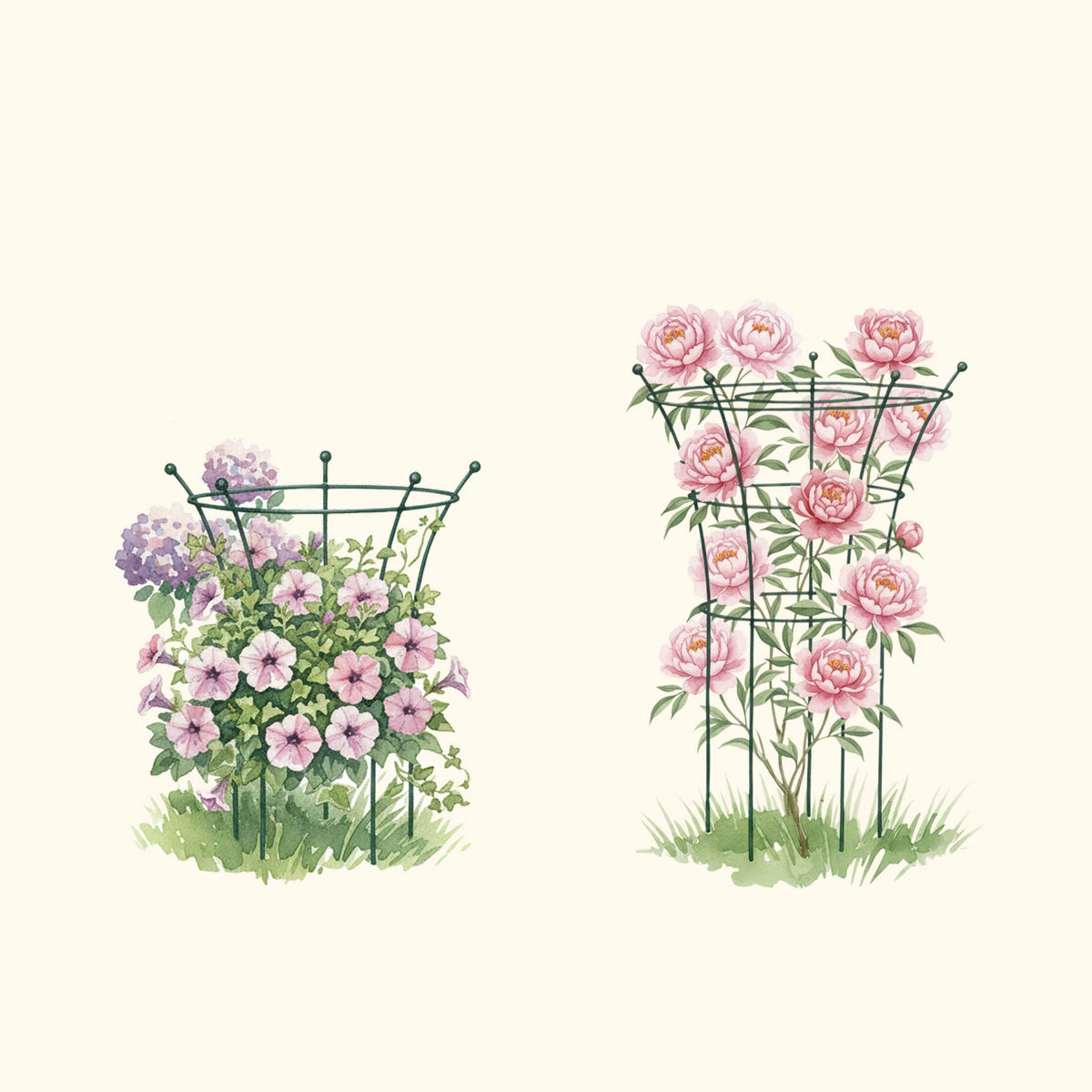 Trumpet Flower Support Cage, 2 Pack