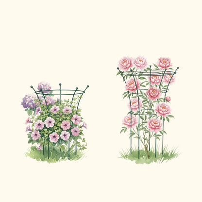 Trumpet Flower Support Cage, 2 Pack