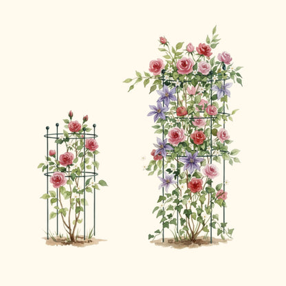 Round Flower Support Cage, 2 Pack