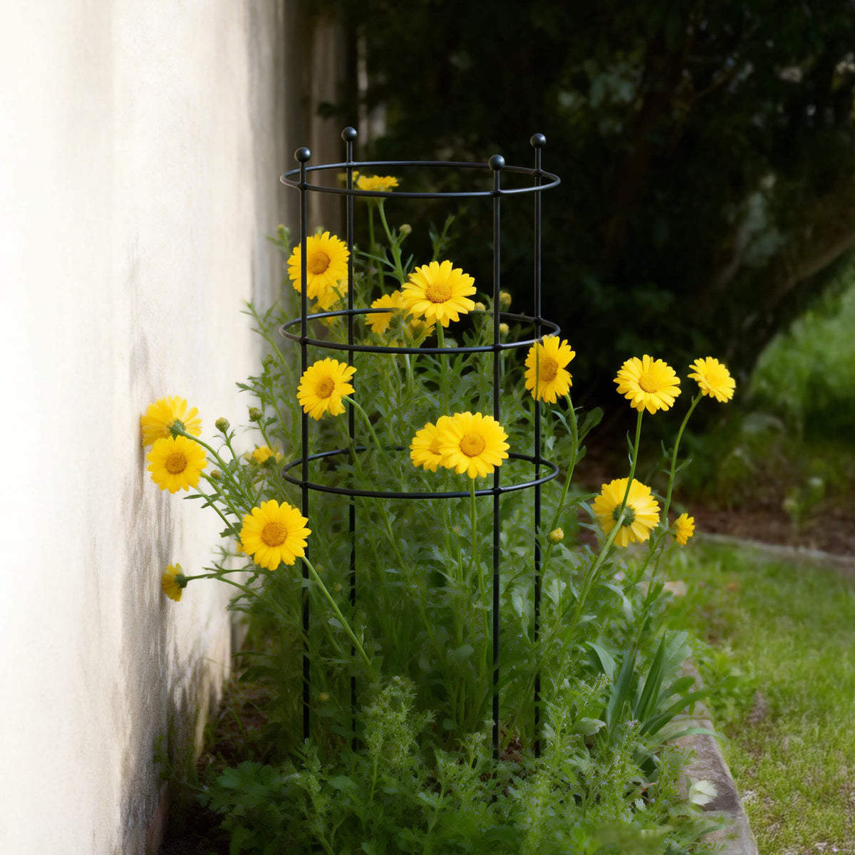 Round Flower Support Cage, 2 Pack