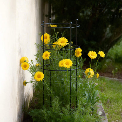 Round Flower Support Cage, 2 Pack