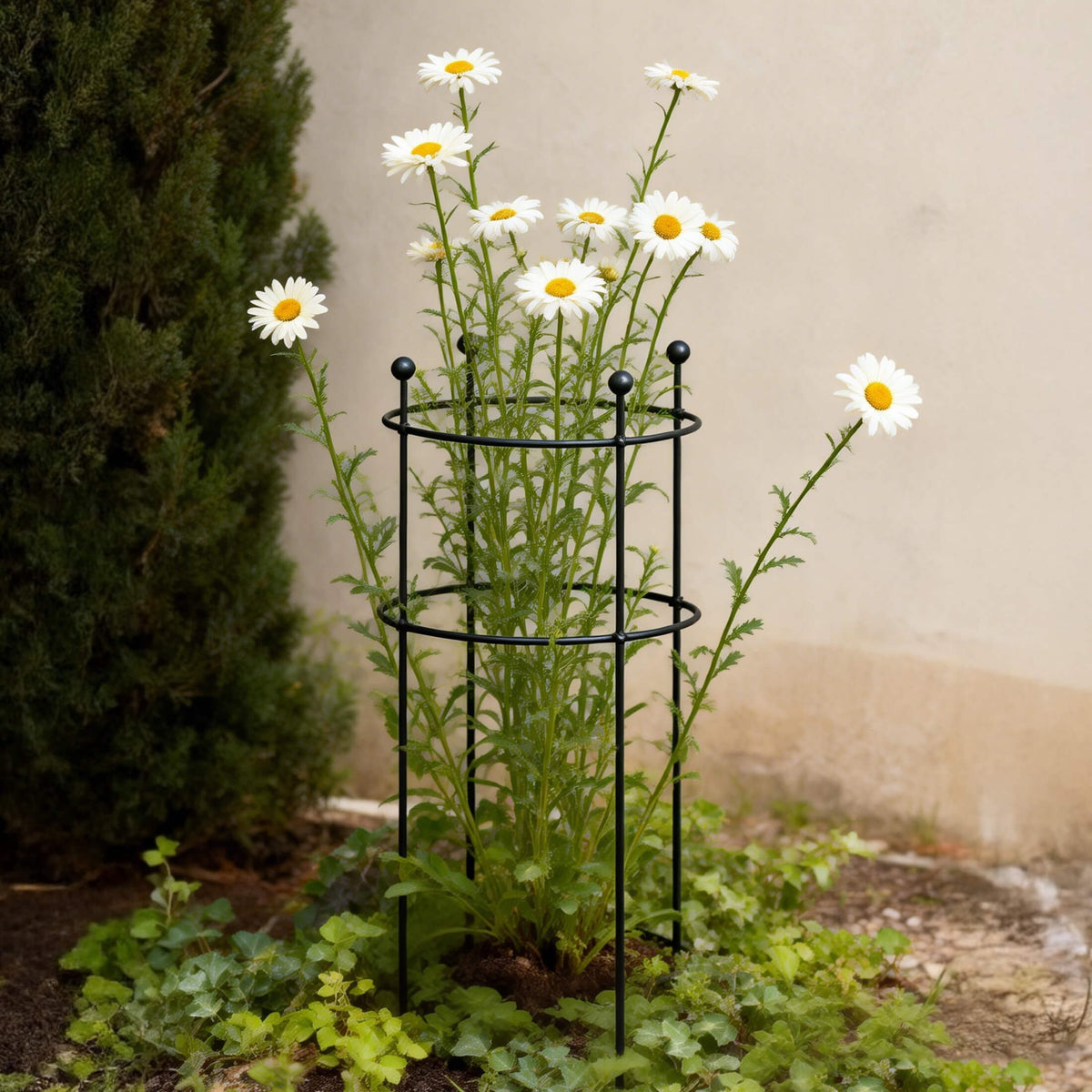Round Flower Support Cage, 2 Pack