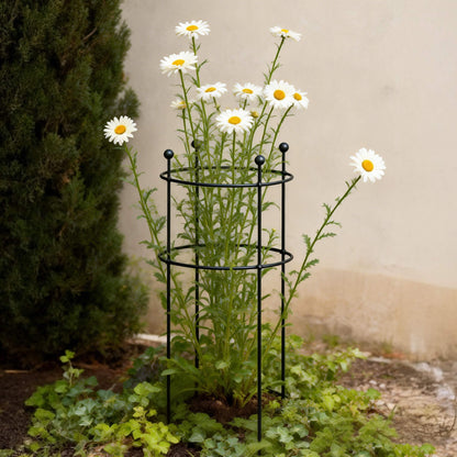Round Flower Support Cage, 2 Pack