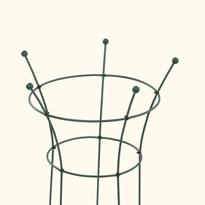 Trumpet Flower Support Cage, 2 Pack