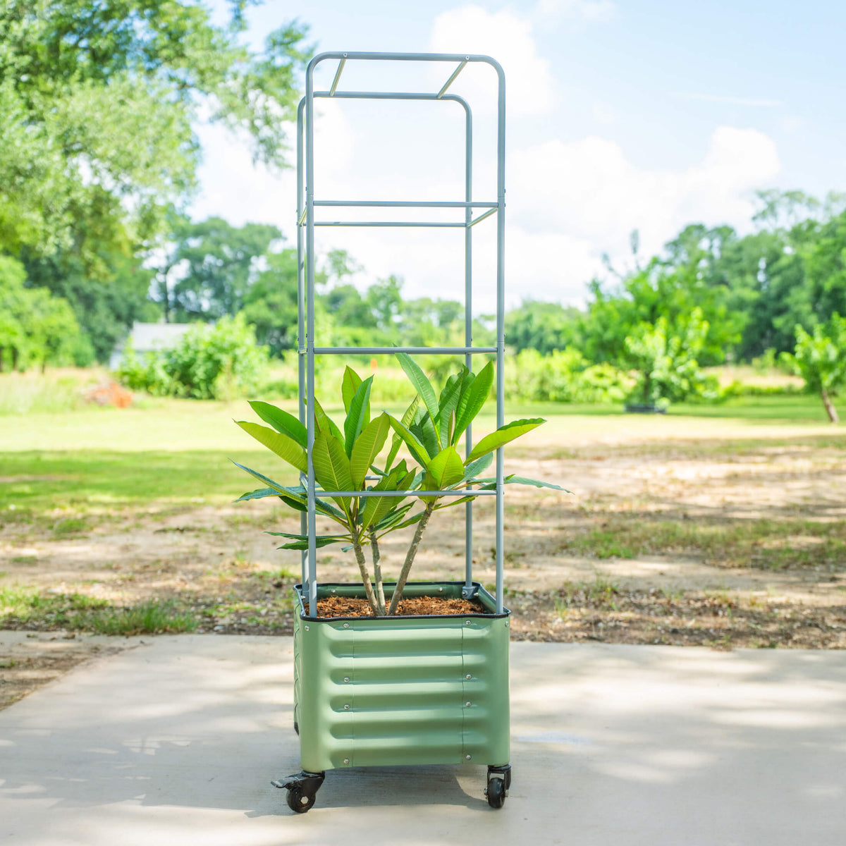 Rolling Tomato Planter with Cage, 30 Gallons