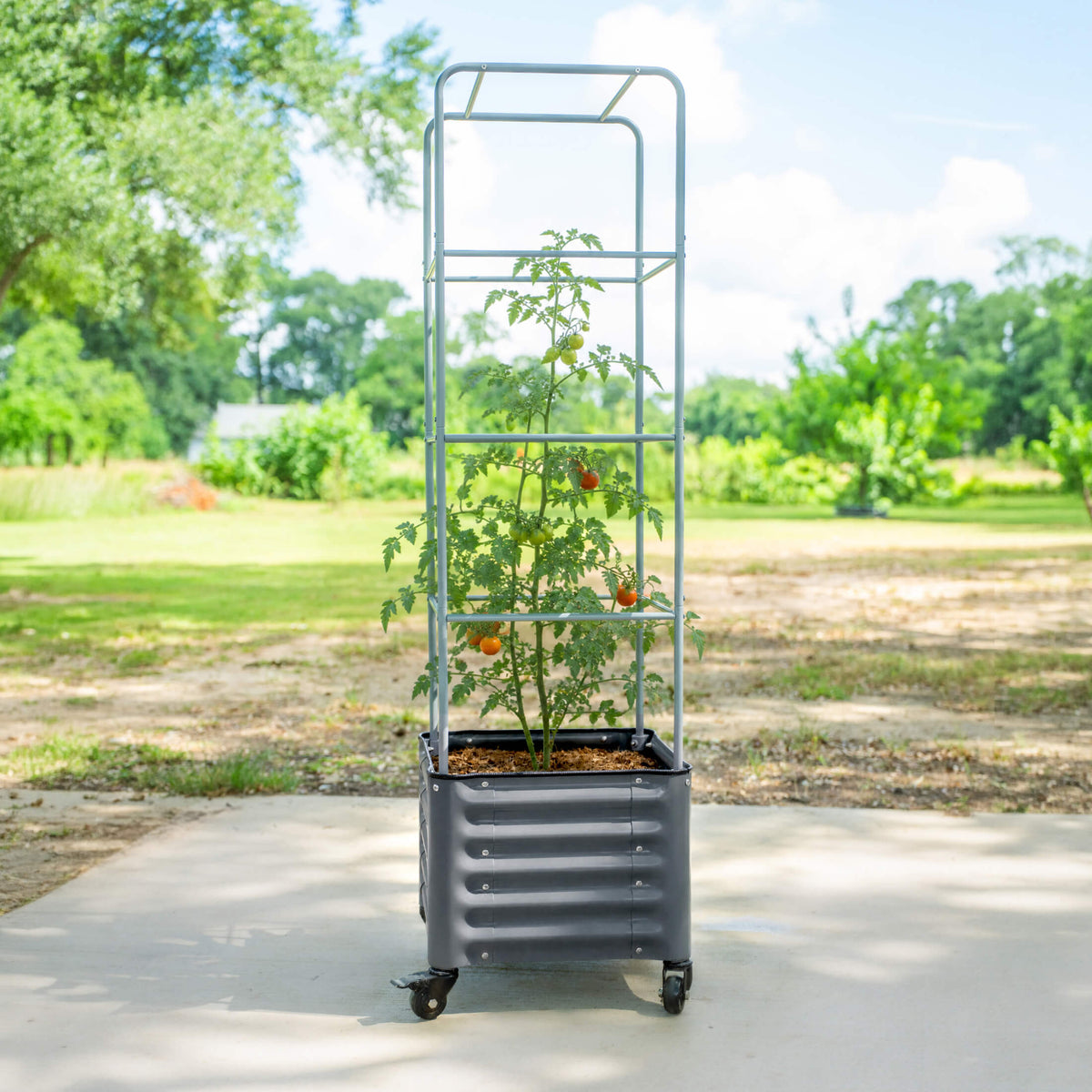 Rolling Tomato Planter with Cage, 30 Gallons