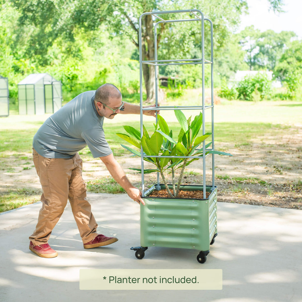 Metal Tomato Cage for Rolling Cube Planter