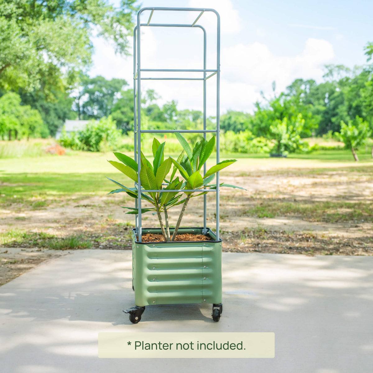 Metal Tomato Cage for Rolling Cube Planter