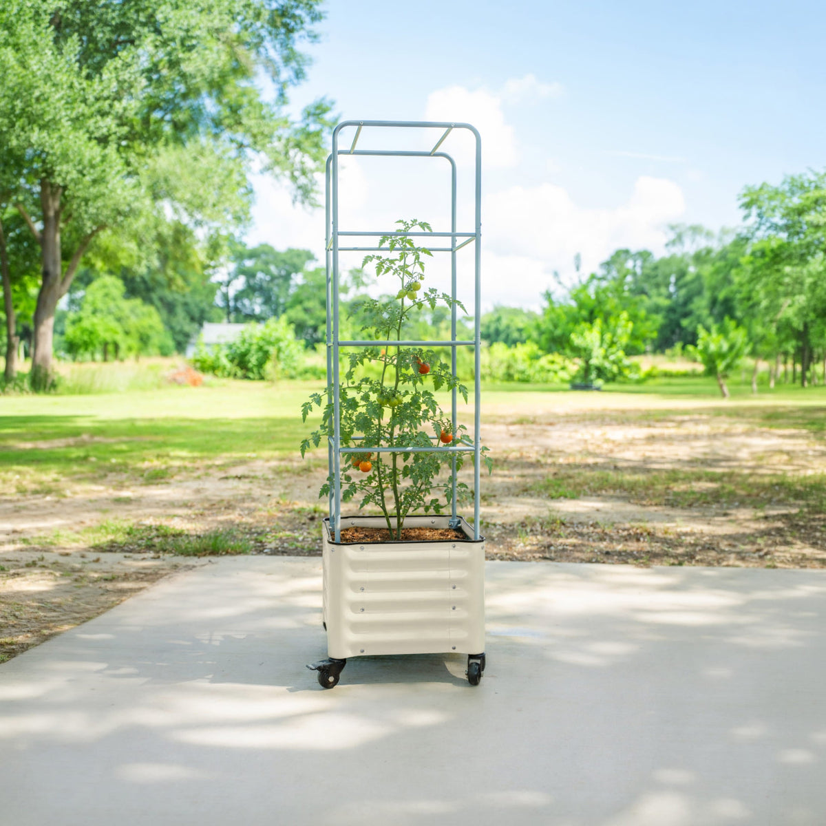 Rolling Tomato Planter with Cage, 30 Gallons