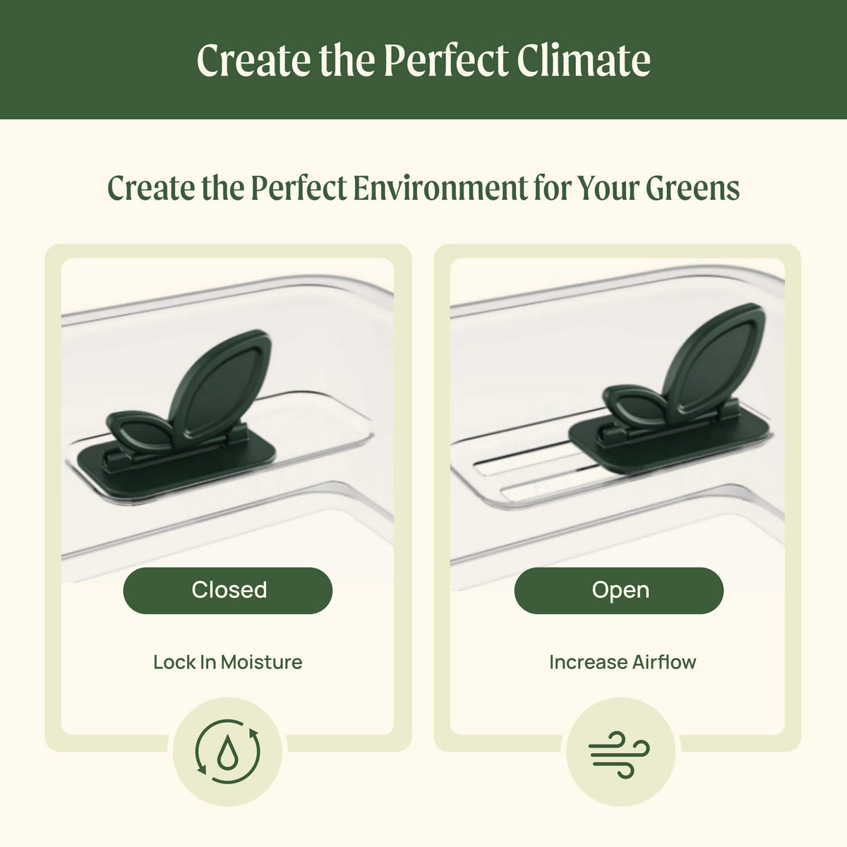 Product photo of microgreens planters, two pack