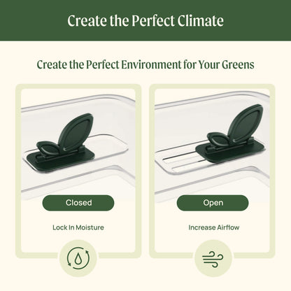 Product photo of microgreens planters, two pack