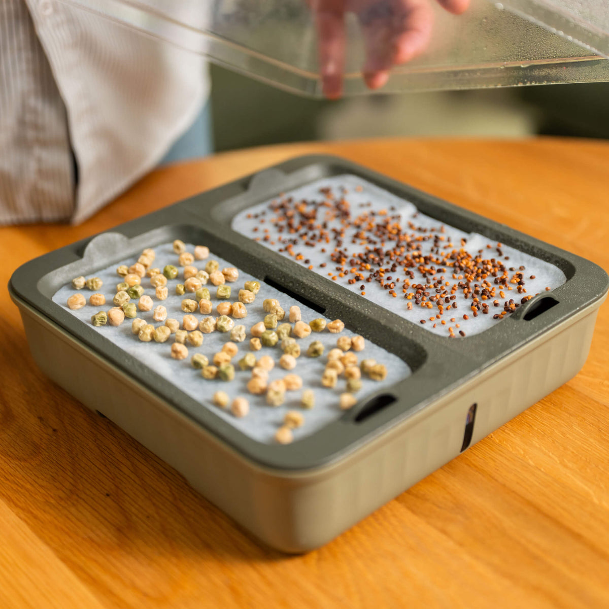 Product photo of microgreens planters, two pack