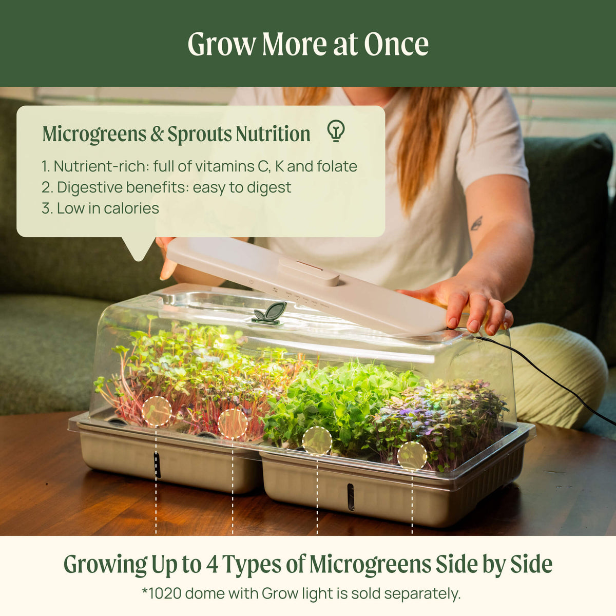 Product photo of microgreens planters, two pack