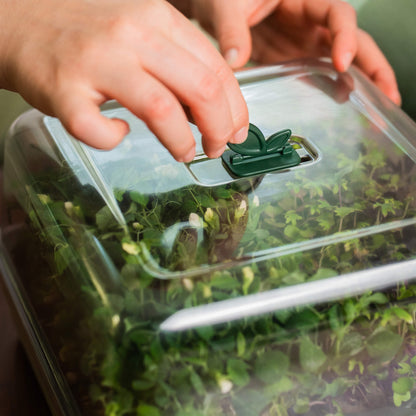 Product photo of microgreens planters, two pack