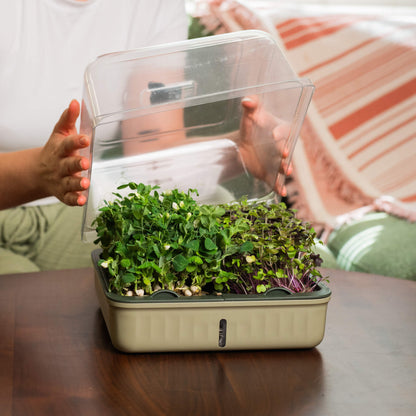 Product photo of microgreens planters, two pack