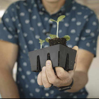 Product photo of six cell seed starting trays