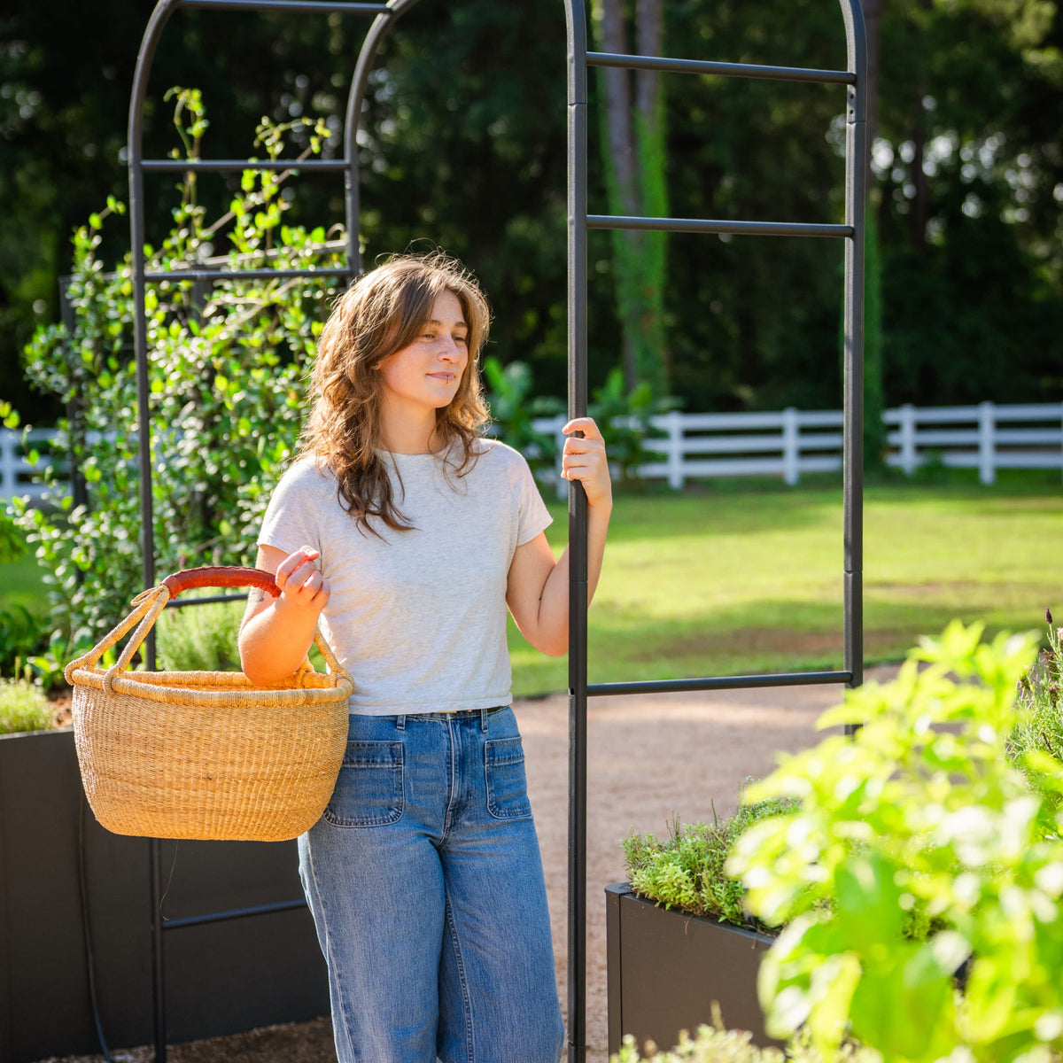 Shallow-Curve Garden Arch, Standard Frame