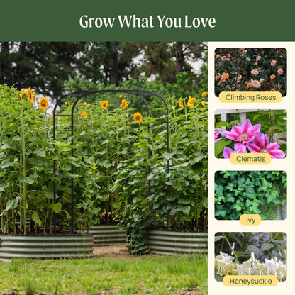Shallow-Curve Garden Arch, Standard Frame