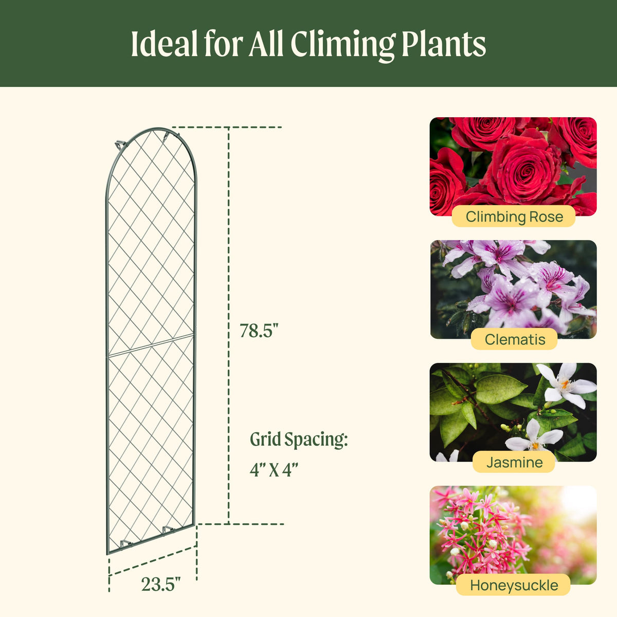 Wall-Mounted Garden Trellis