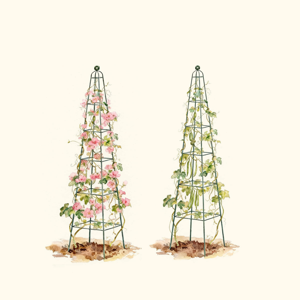 Pyramid Obelisk Garden Trellis, 7.8 Feet