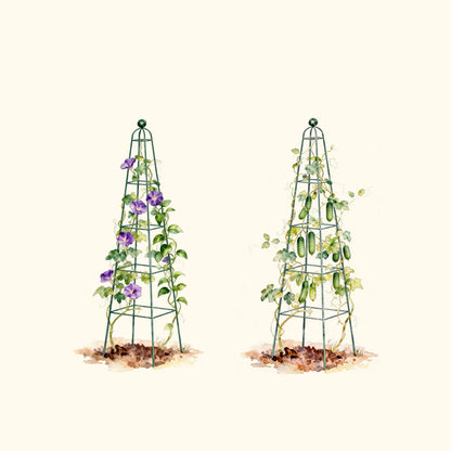 Pyramid Obelisk Garden Trellis, 6.5 Feet