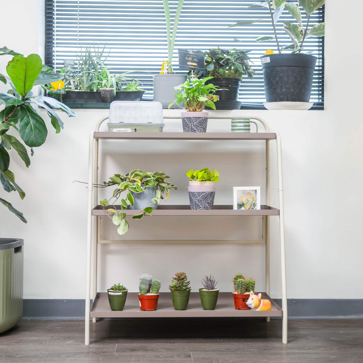 Three-Tier Plant Stand