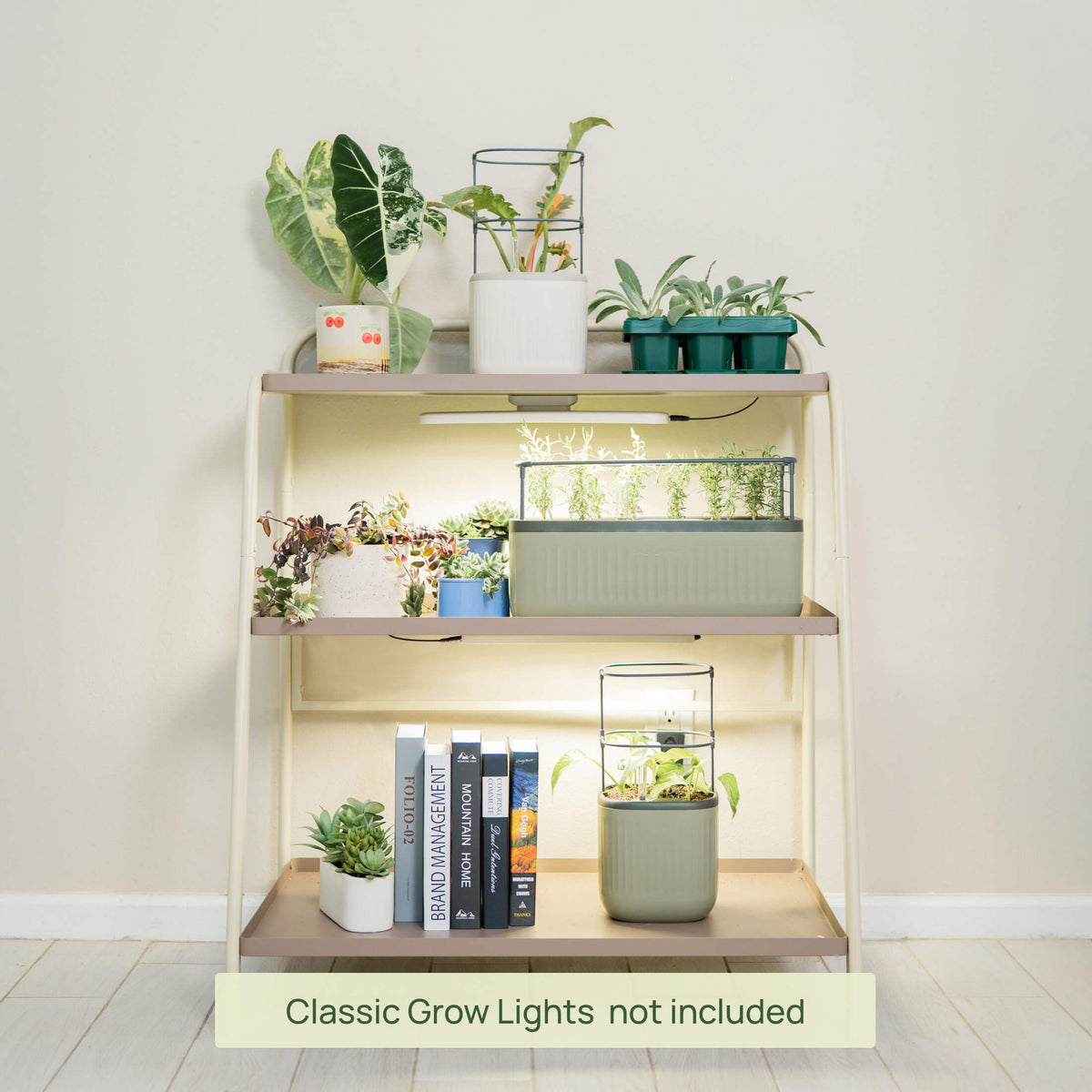 Three-Tier Plant Stand