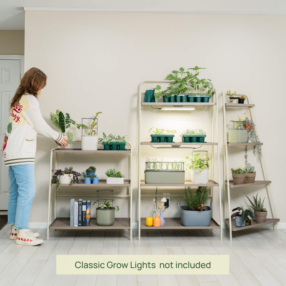 Three-Tier Plant Stand