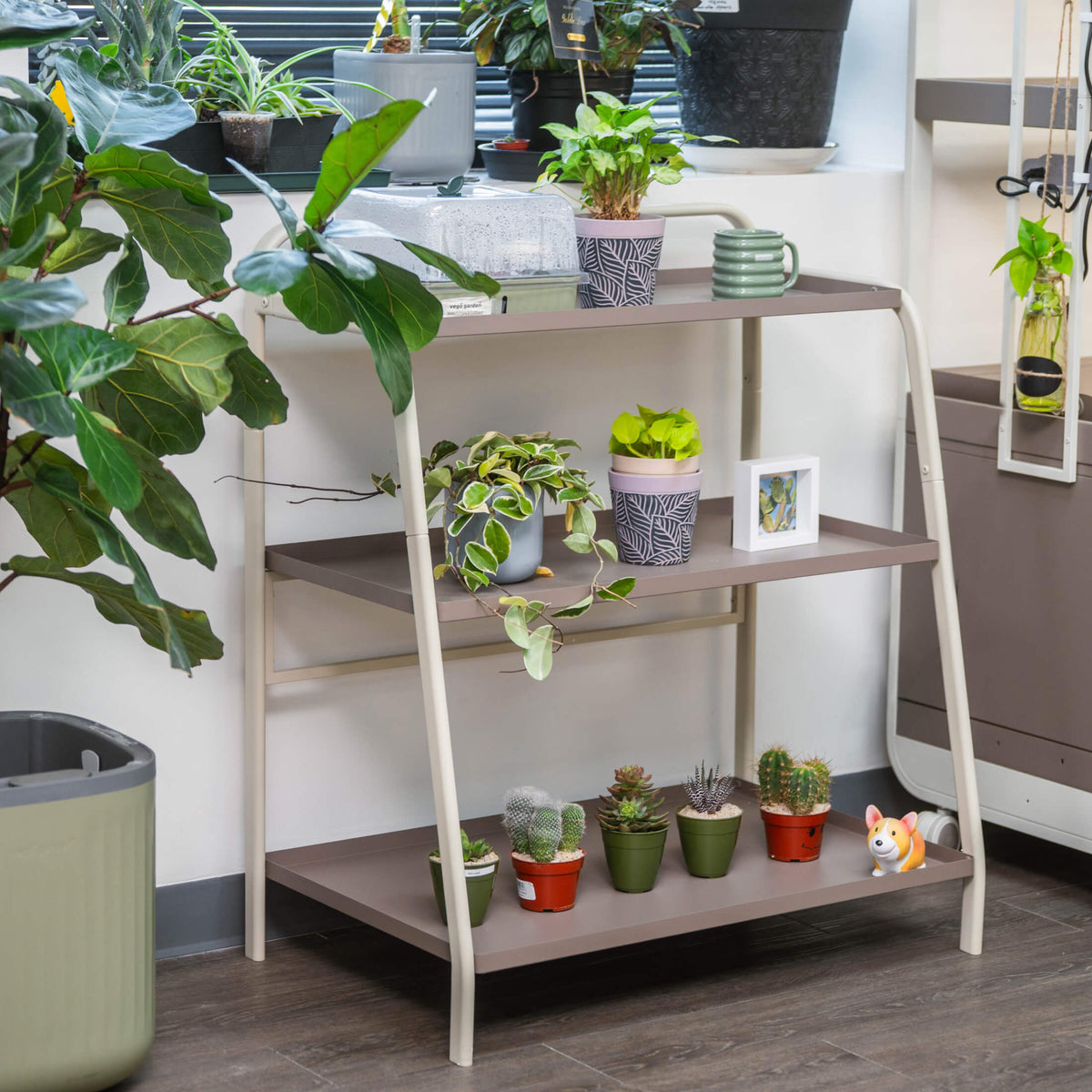 Three-Tier Plant Stand