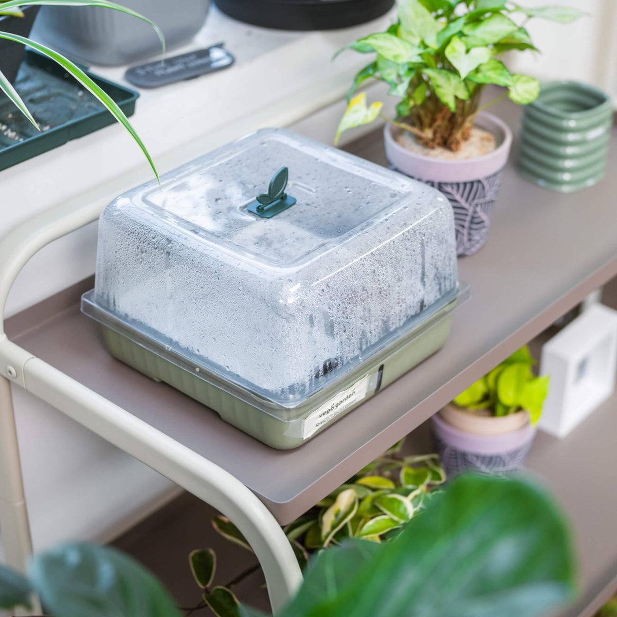 Three-Tier Plant Stand