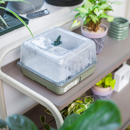 Three-Tier Plant Stand