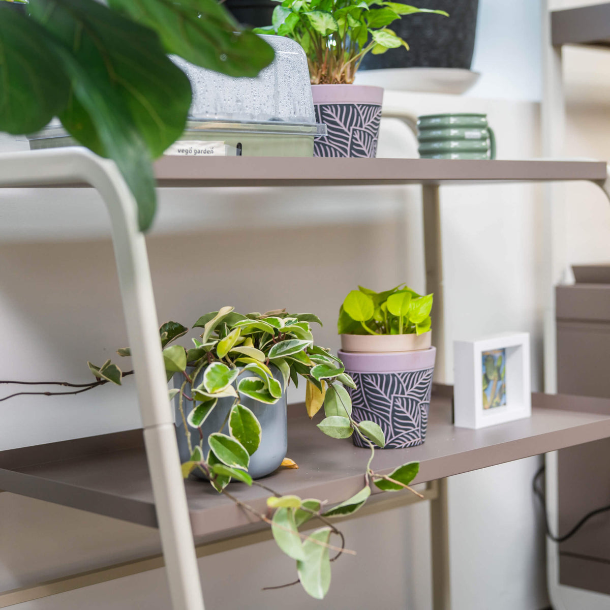 Three-Tier Plant Stand