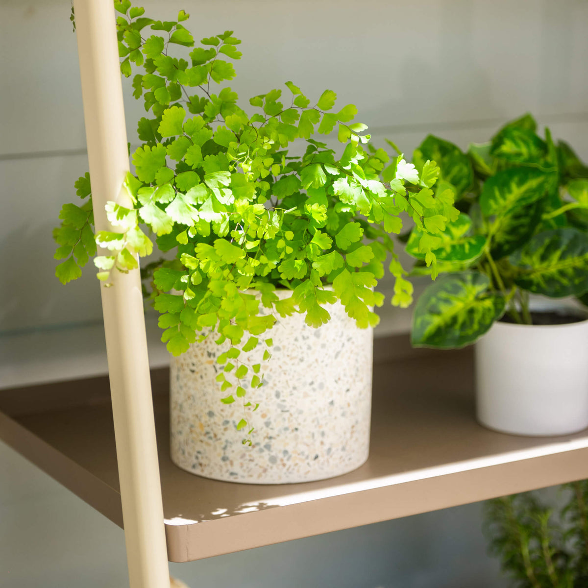 Four-Tier Plant Stand