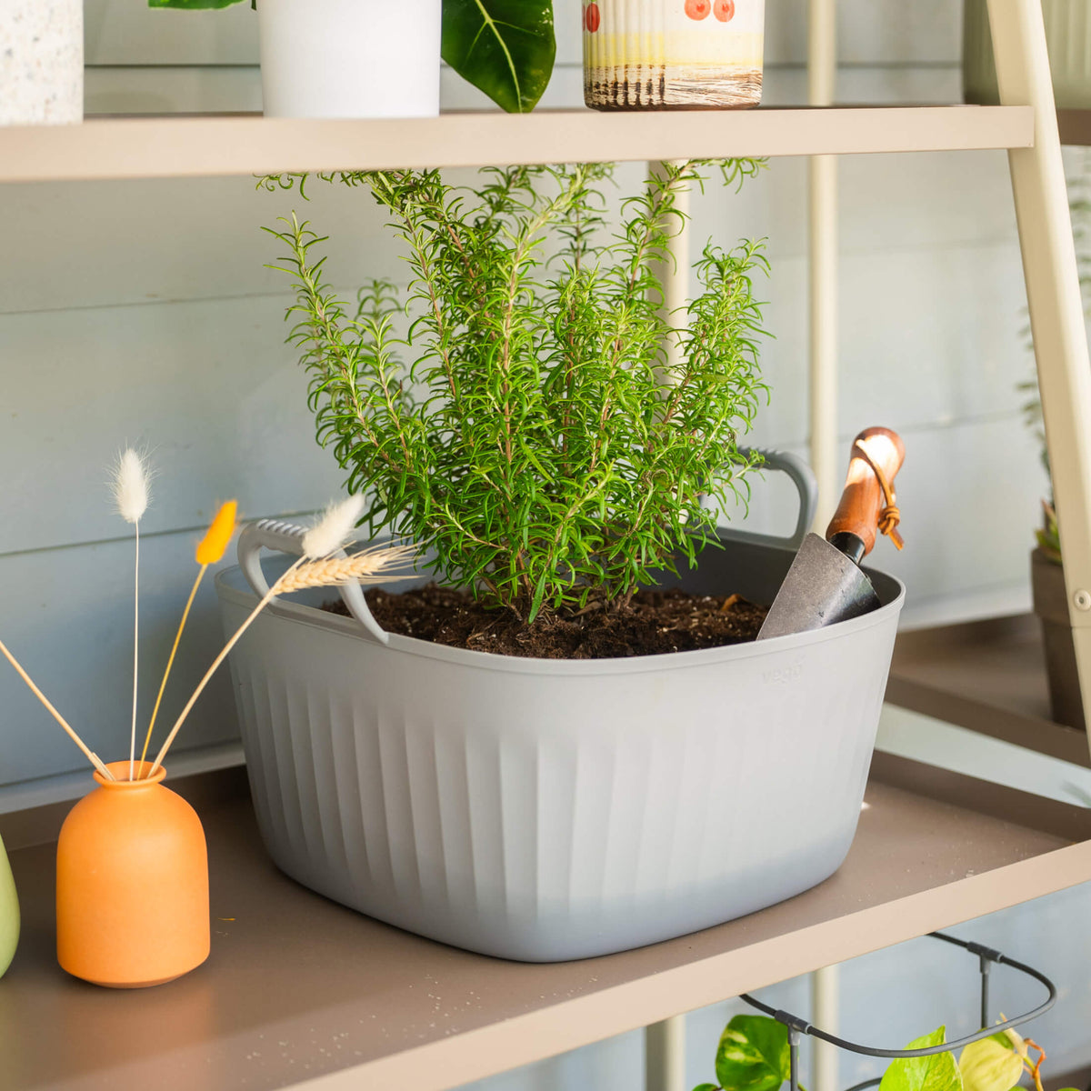 Four-Tier Plant Stand