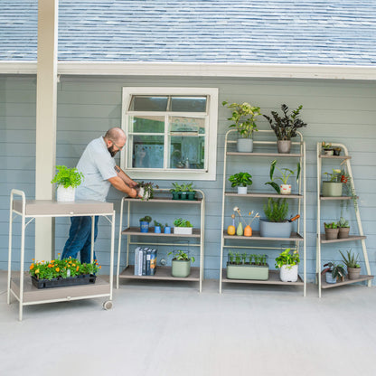Four-Tier Plant Stand