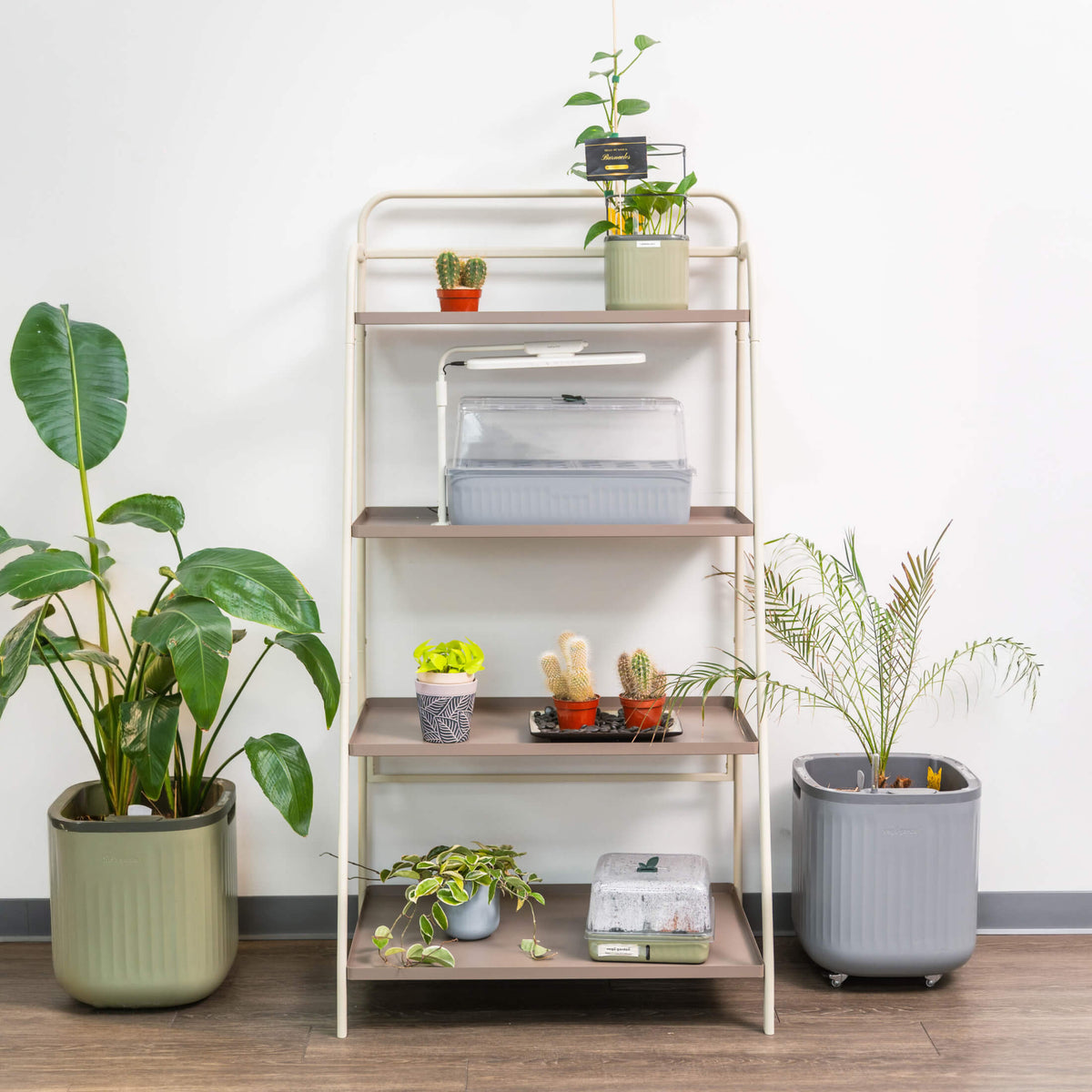 Four-Tier Plant Stand