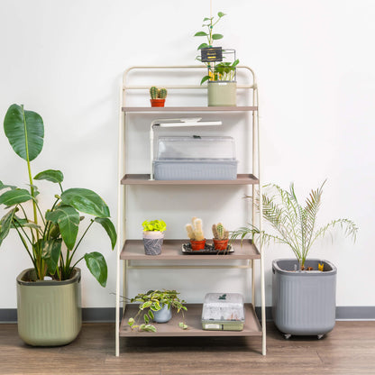 Four-Tier Plant Stand