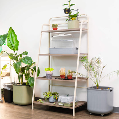 Four-Tier Plant Stand