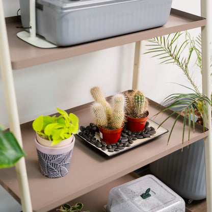 Four-Tier Plant Stand
