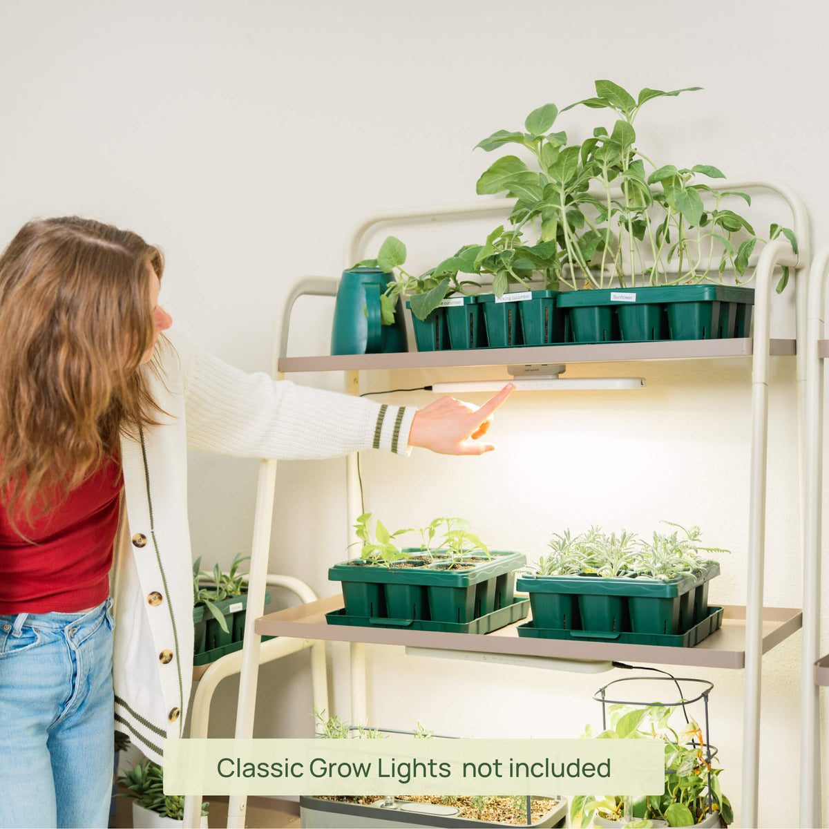 Four-Tier Plant Stand