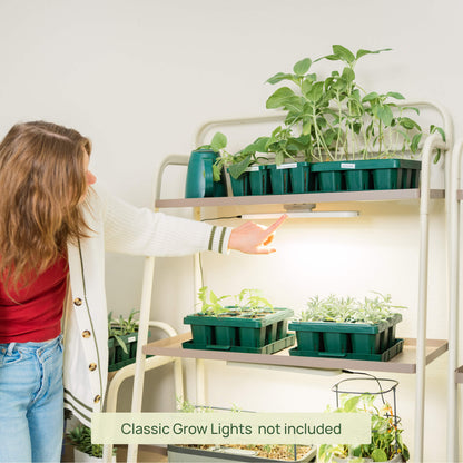Four-Tier Plant Stand