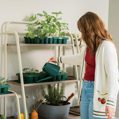 Four-Tier Plant Stand