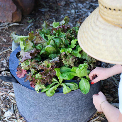 Fabric Grow Bag Covers